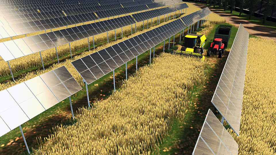 Agri-Photovoltaik-Anlage